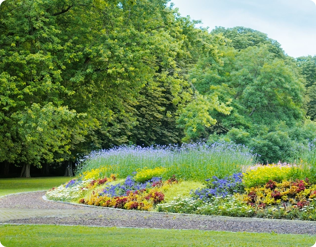 Our Streamlined Landscaping Process