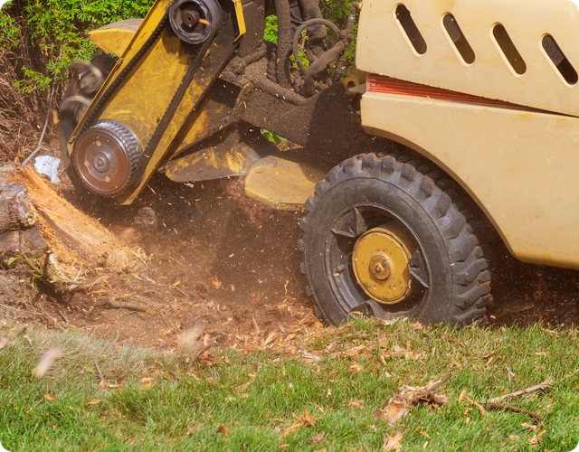 Stump Grinding