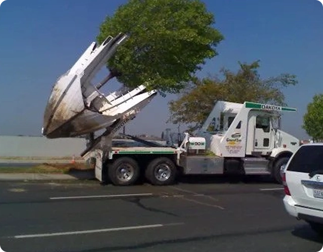 Professional Tree Relocation